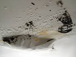 mould condensation