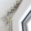 problems with damp