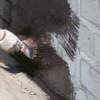 waterproofing